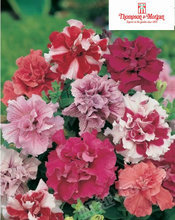 【tm種】最新最全tm種 產品參考信息